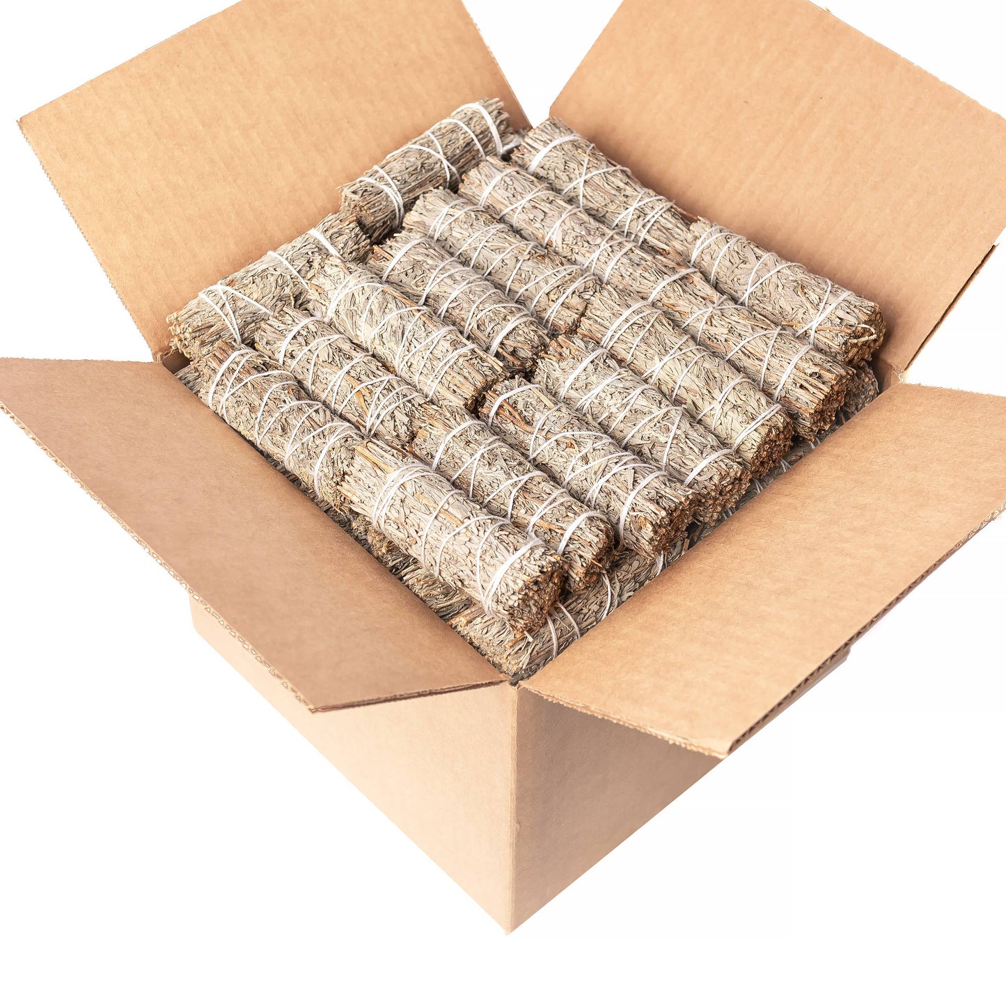 Blue Sage (Grandmother Sage)