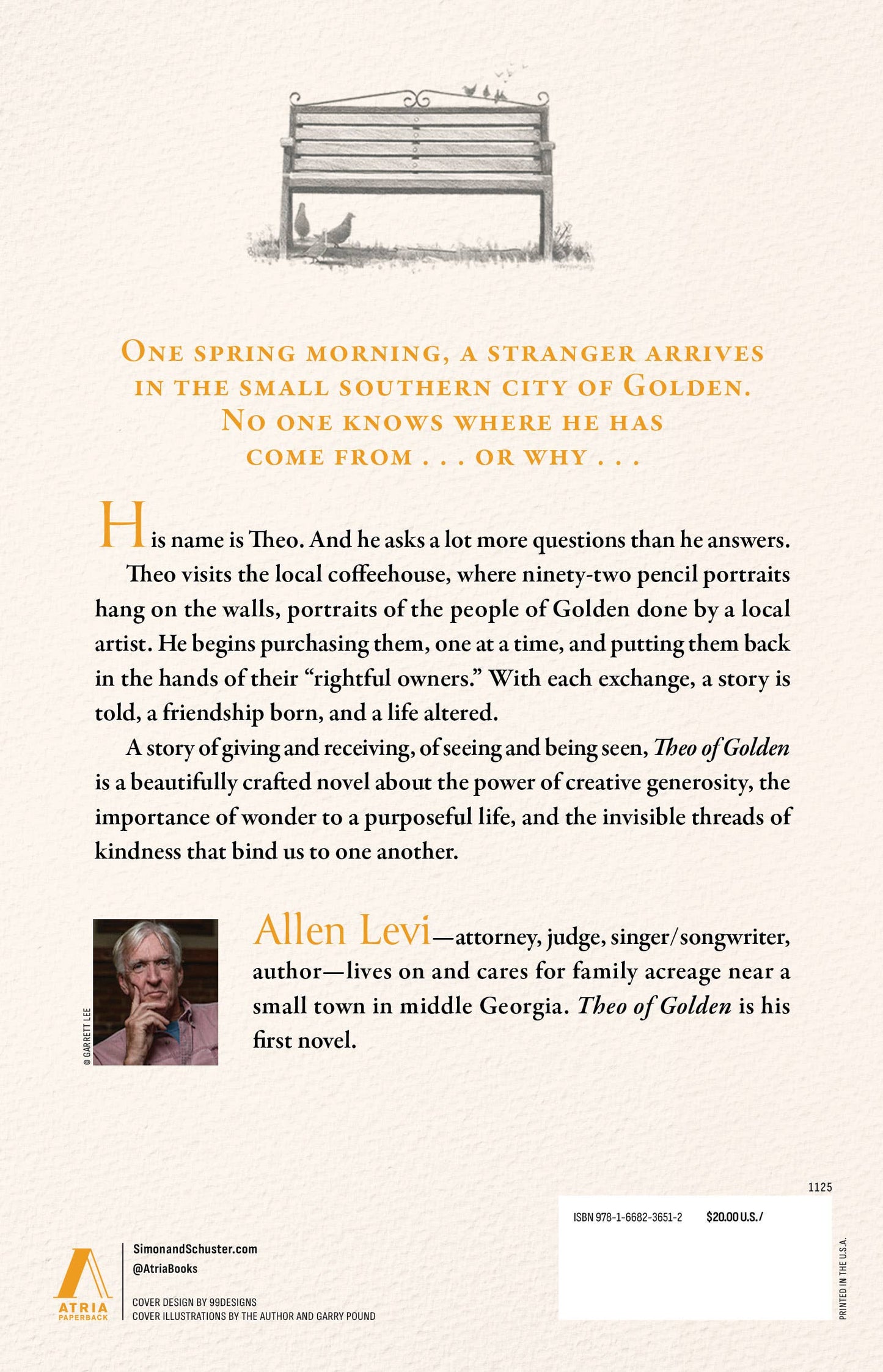 Theo of Golden by Allen Levi: Paperback; 400 pages / English