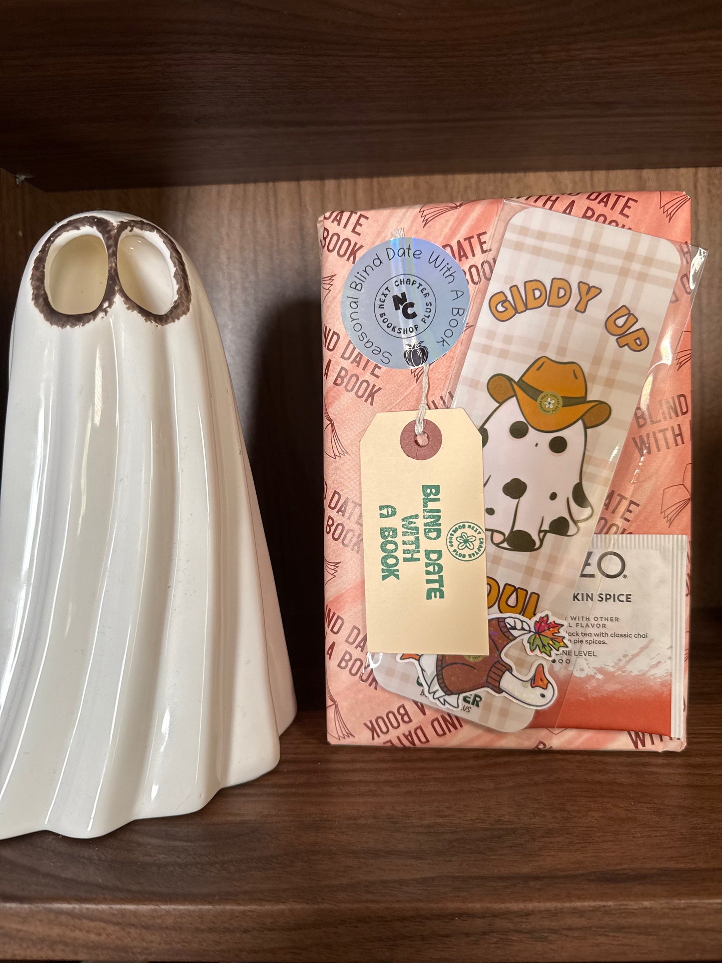 Seasonal Blind Date with a Book
